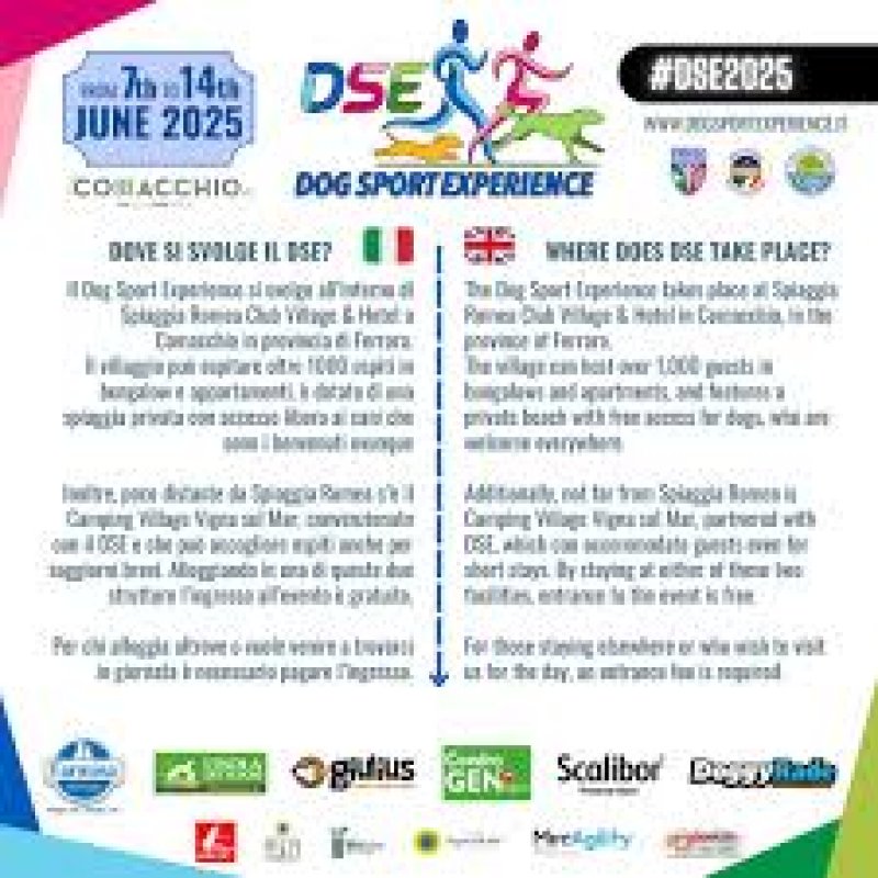 5° Dog Sport Experience Lido delle Nazioni, Spiaggia Romea Village & Residence