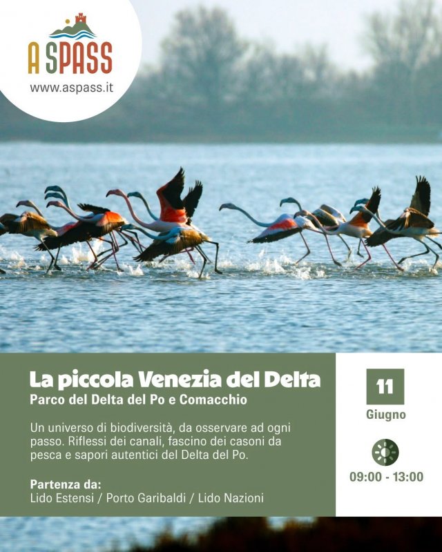 Escursioni A SPASS - Parco del Delta del Po e Comacchio. La piccola Venezia del Delta
